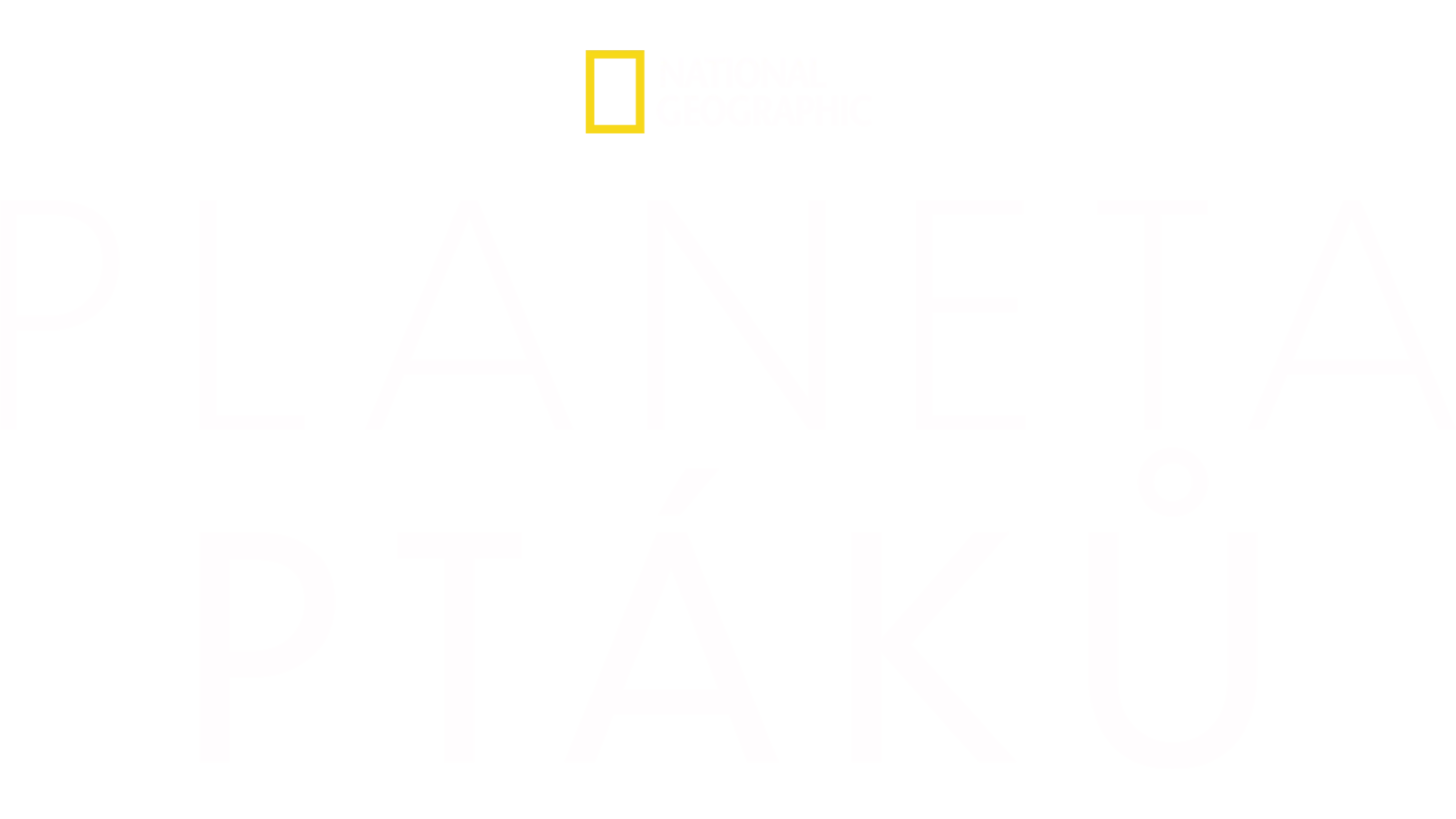 Planeta ptáků