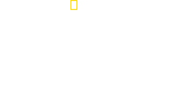 Planeta ptáků