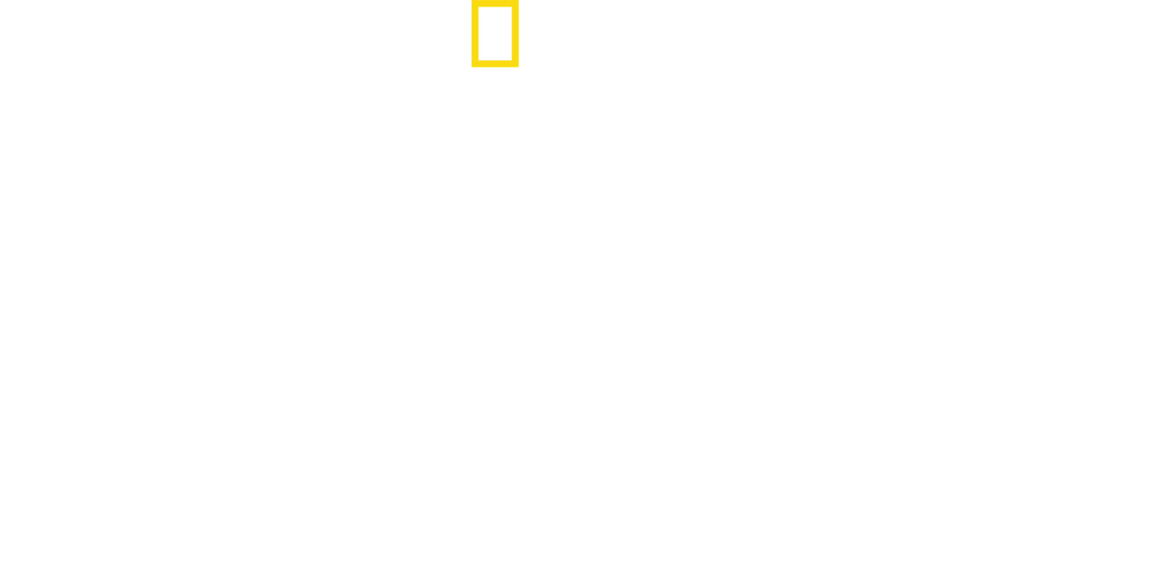 Planeta ptáků