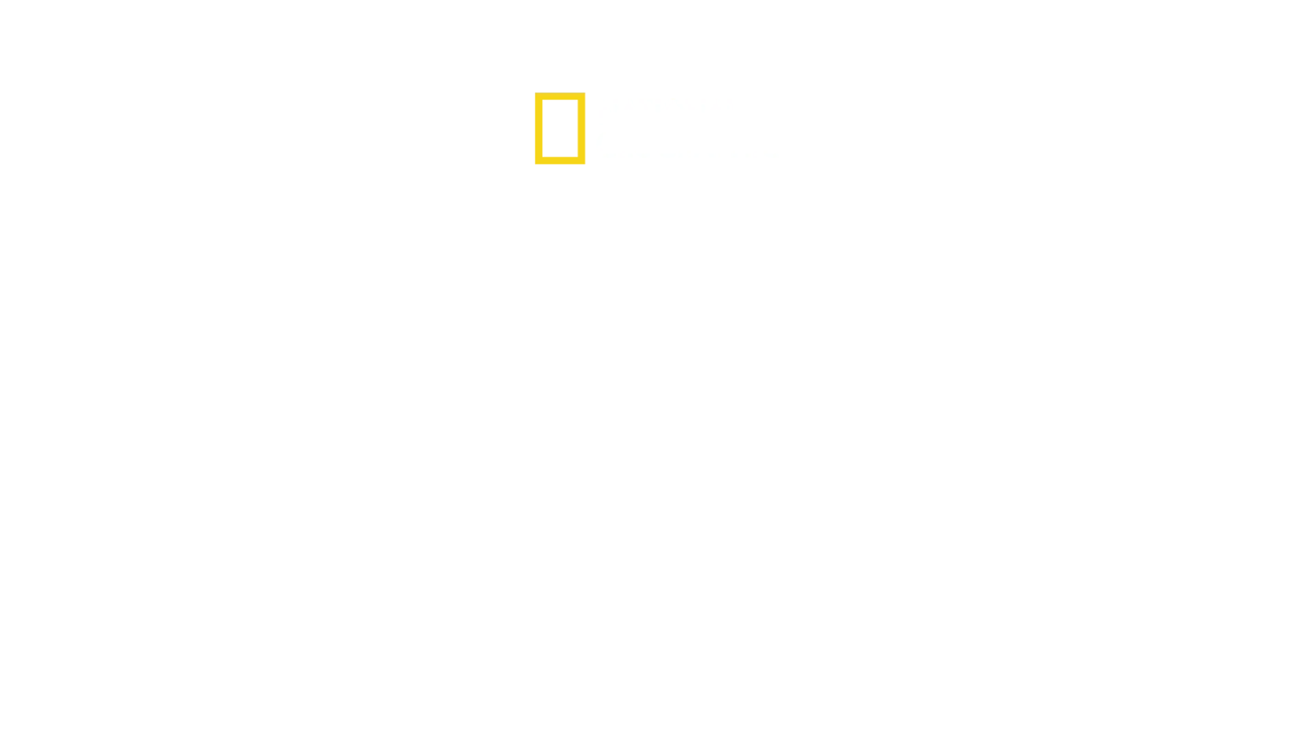 2. verdenskrig: Helvete under vann