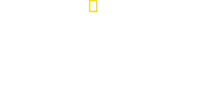 2. verdenskrig: Helvete under vann