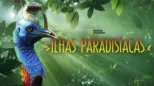 thumbnail - Ilhas Paradisíacas