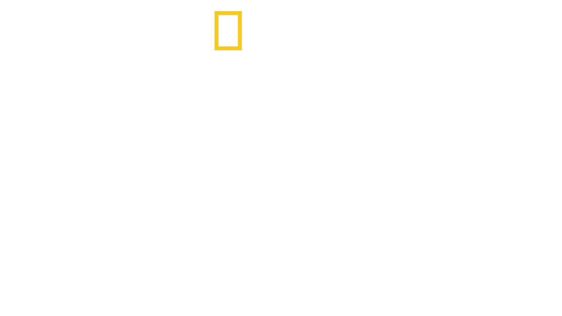 The Territory: Kampf für den Amazonas