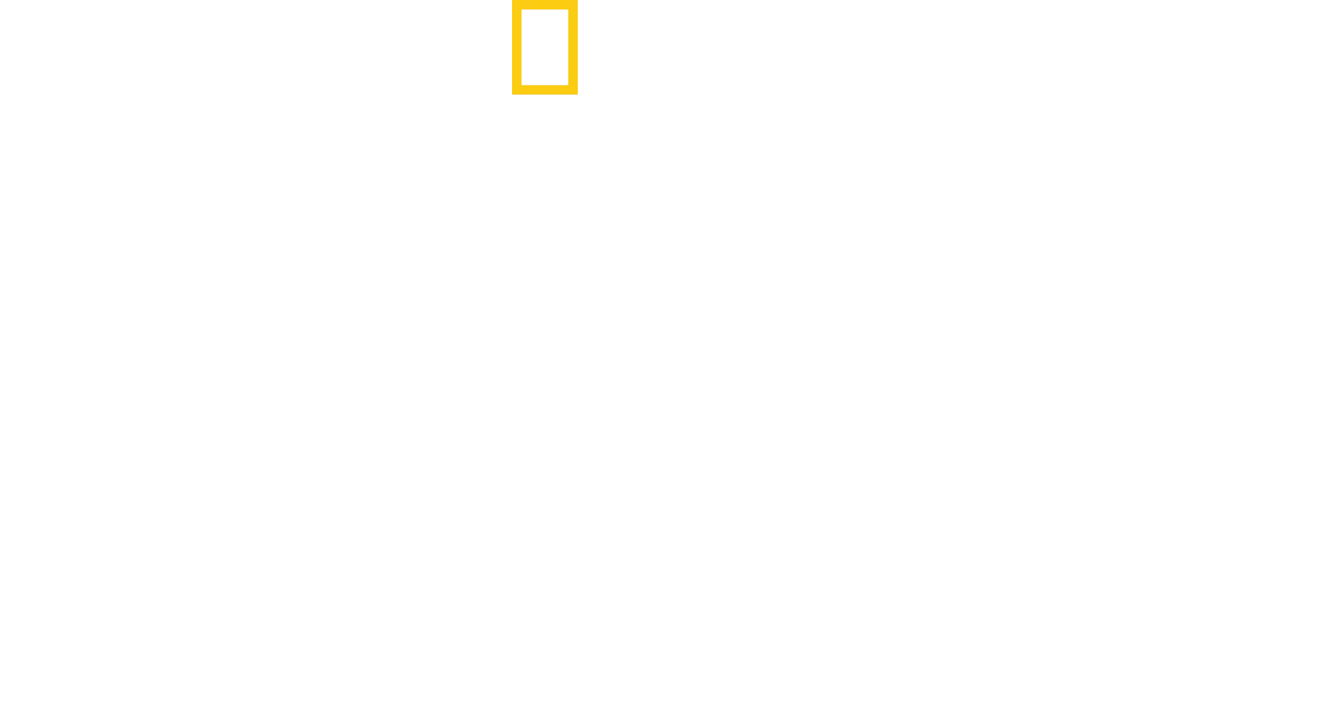 The Territory: Kampf für den Amazonas
