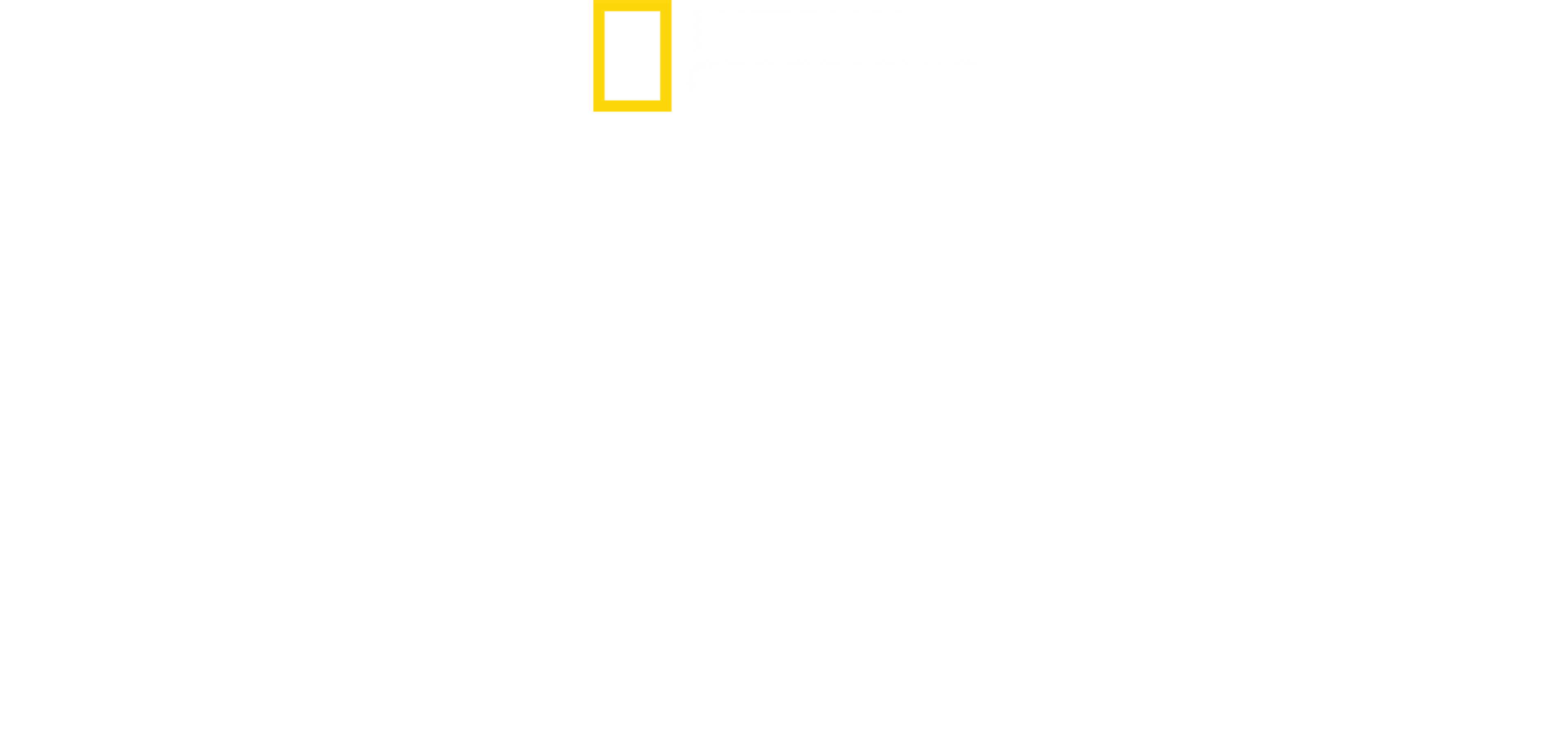 密着！ある少女の顔面移植手術