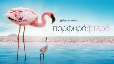 Πορφυρά Φτερά