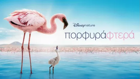 thumbnail - Πορφυρά Φτερά