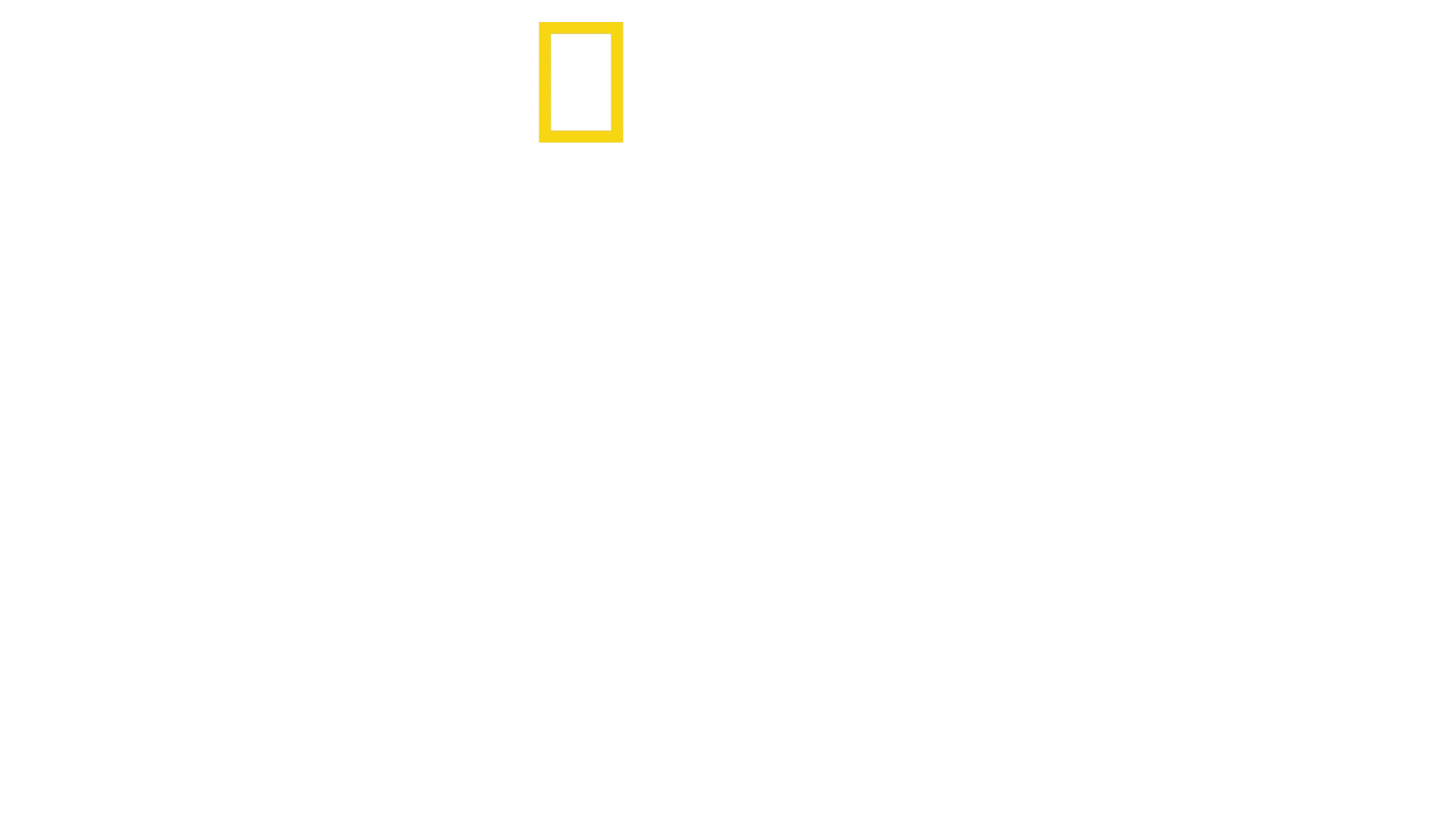 バーティのハイテク・クローズアップ！ドルフィン編