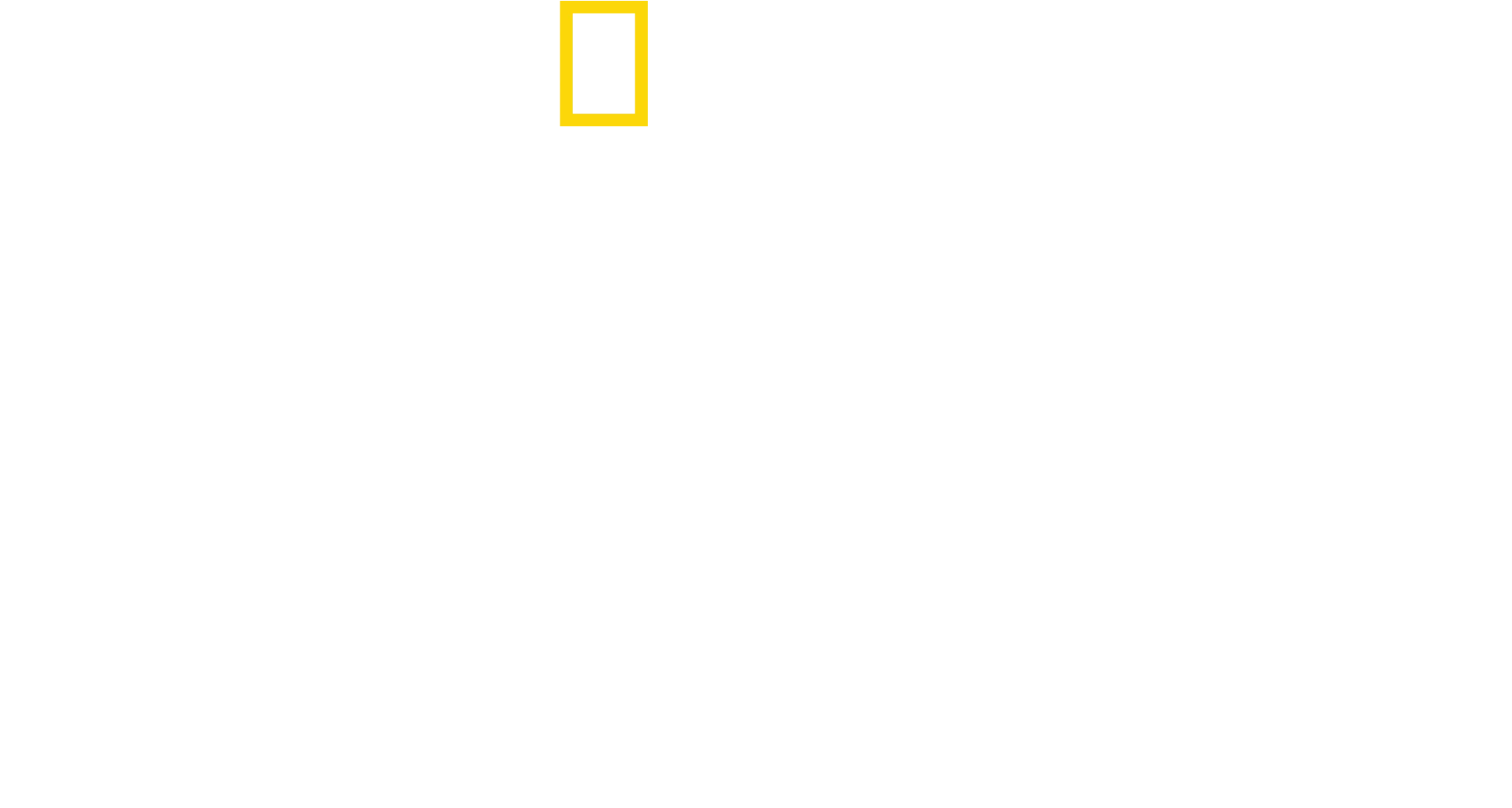 バーティのハイテク・クローズアップ！ドルフィン編