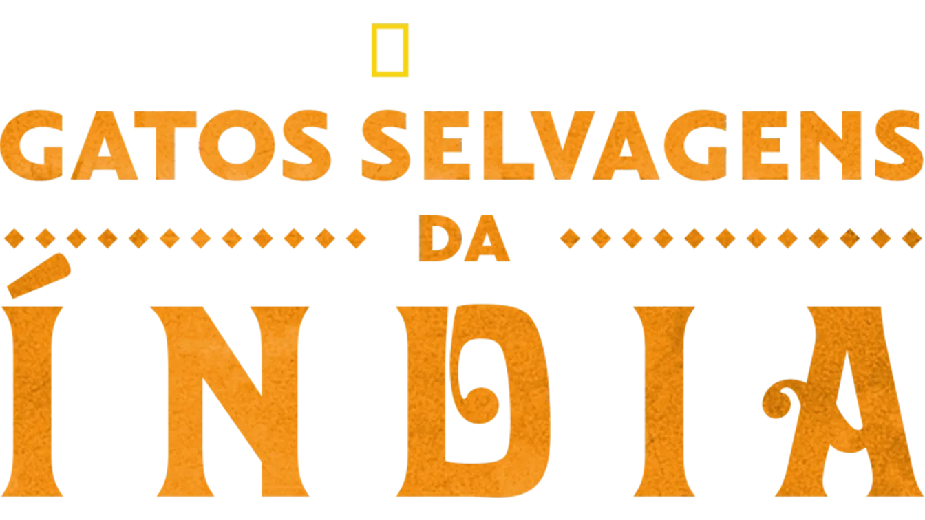 Gatos Selvagens da Índia
