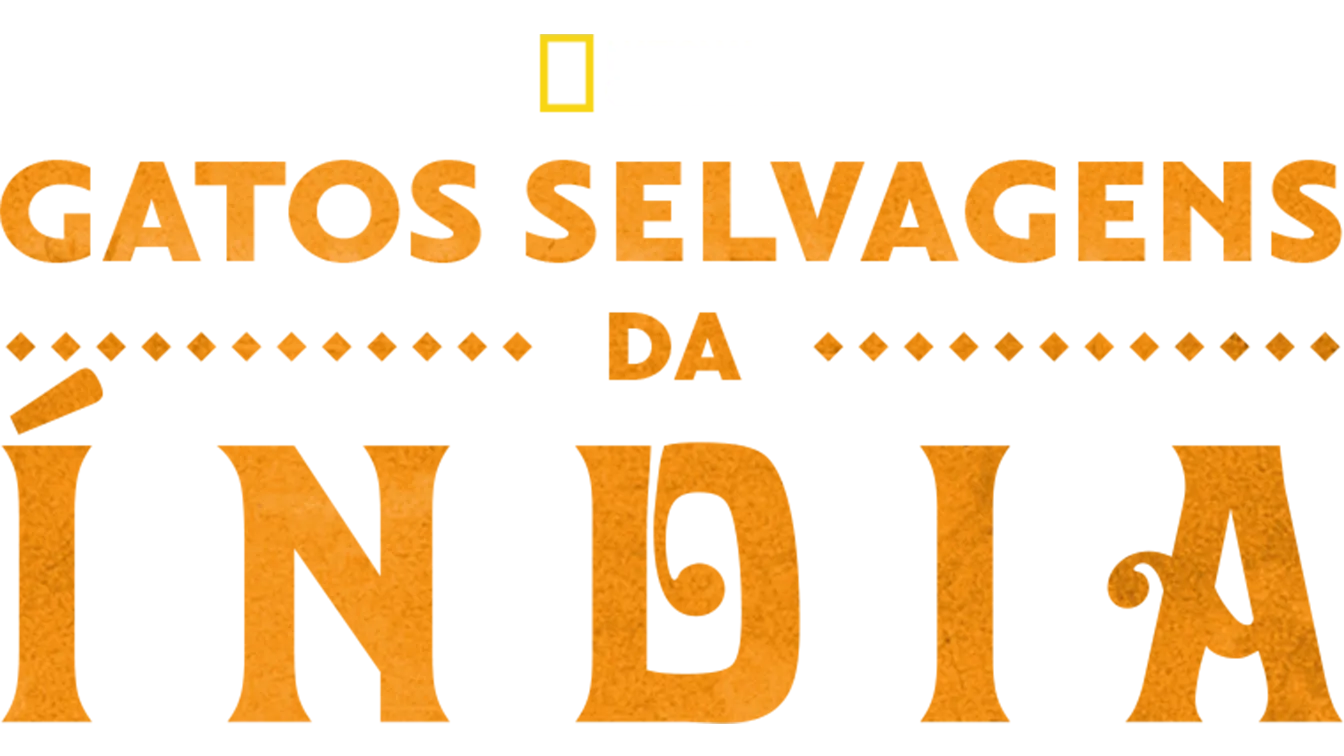 Gatos Selvagens da Índia