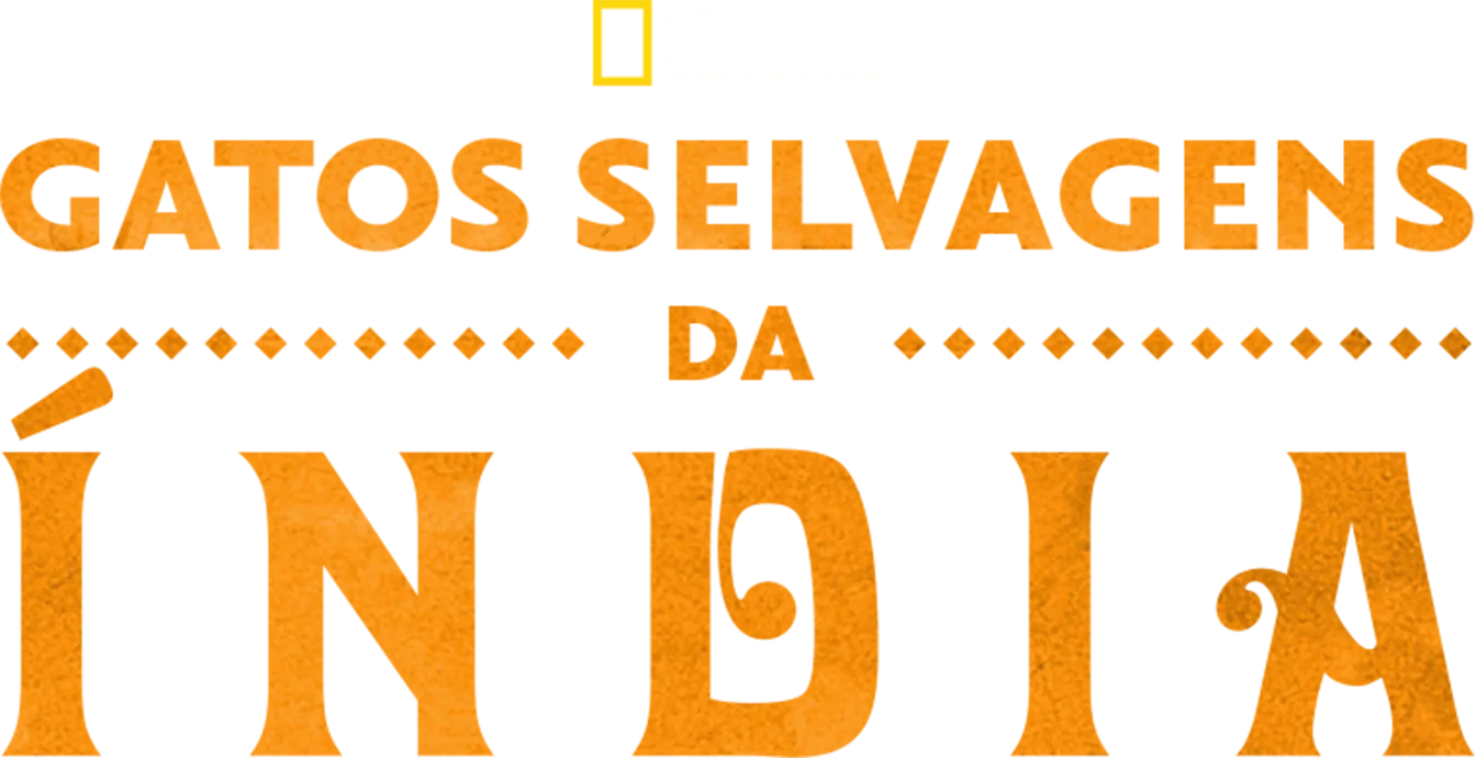 Gatos Selvagens da Índia