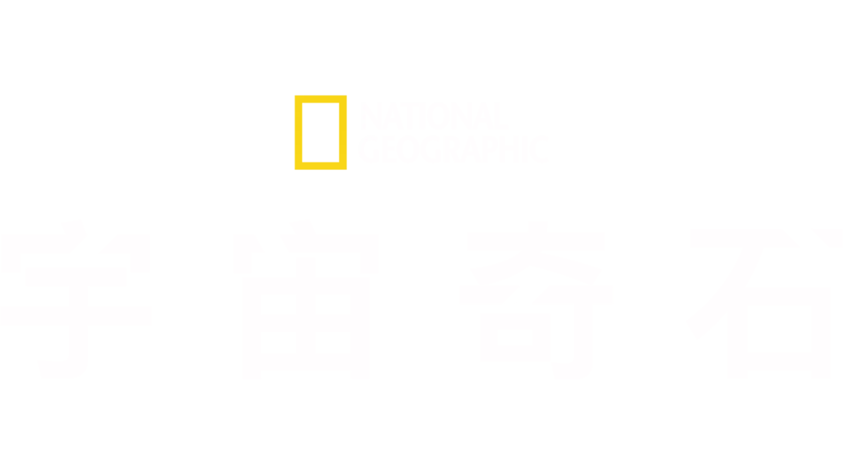 宇宙奇石