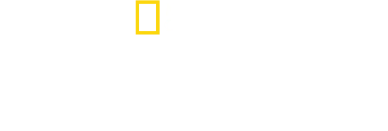 宇宙奇石
