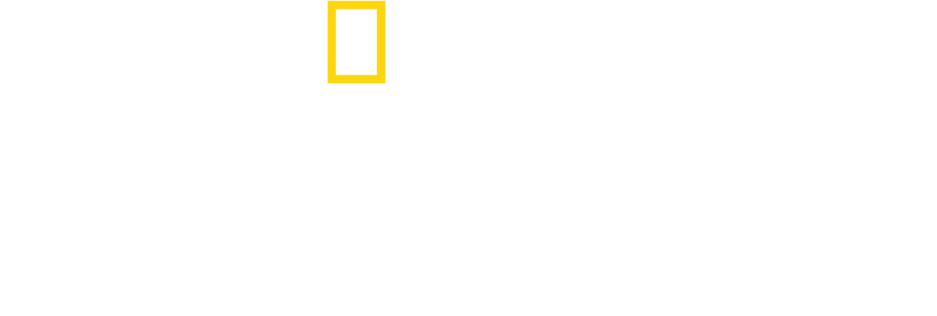 宇宙奇石