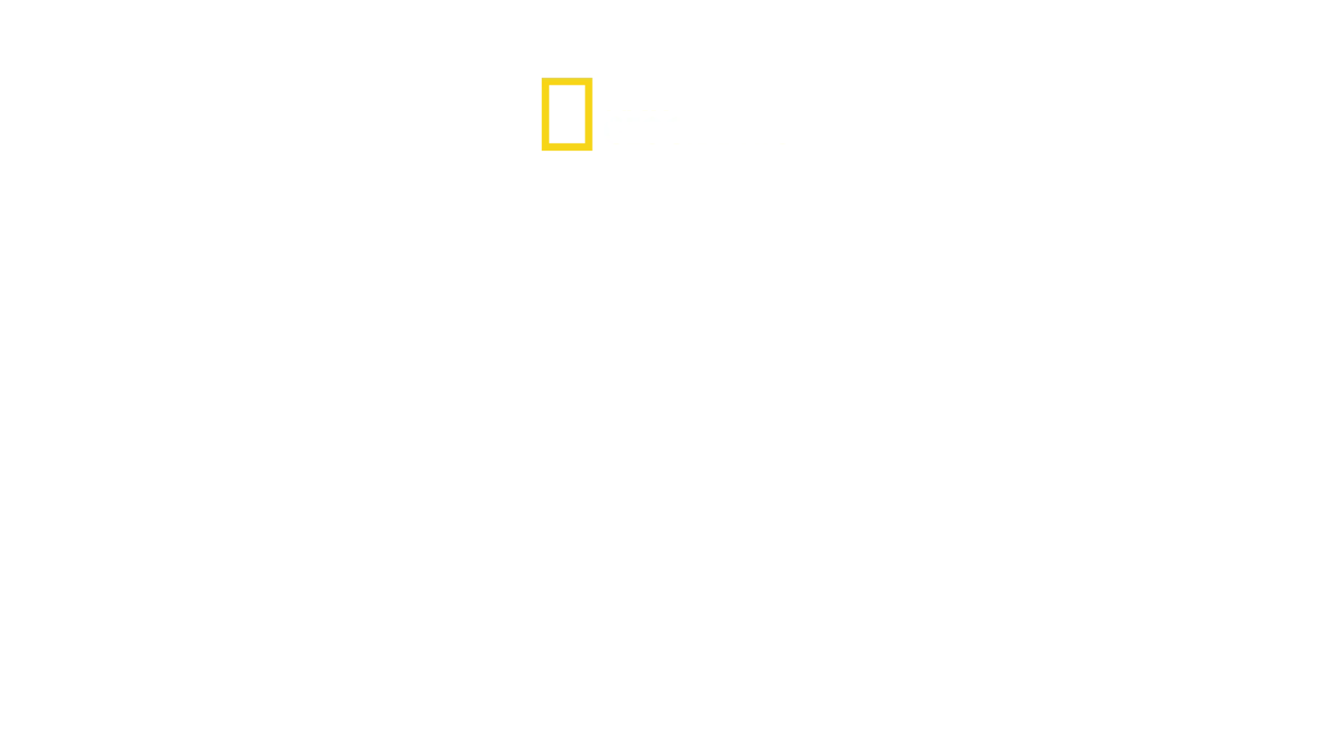Jade Eyed Leopard