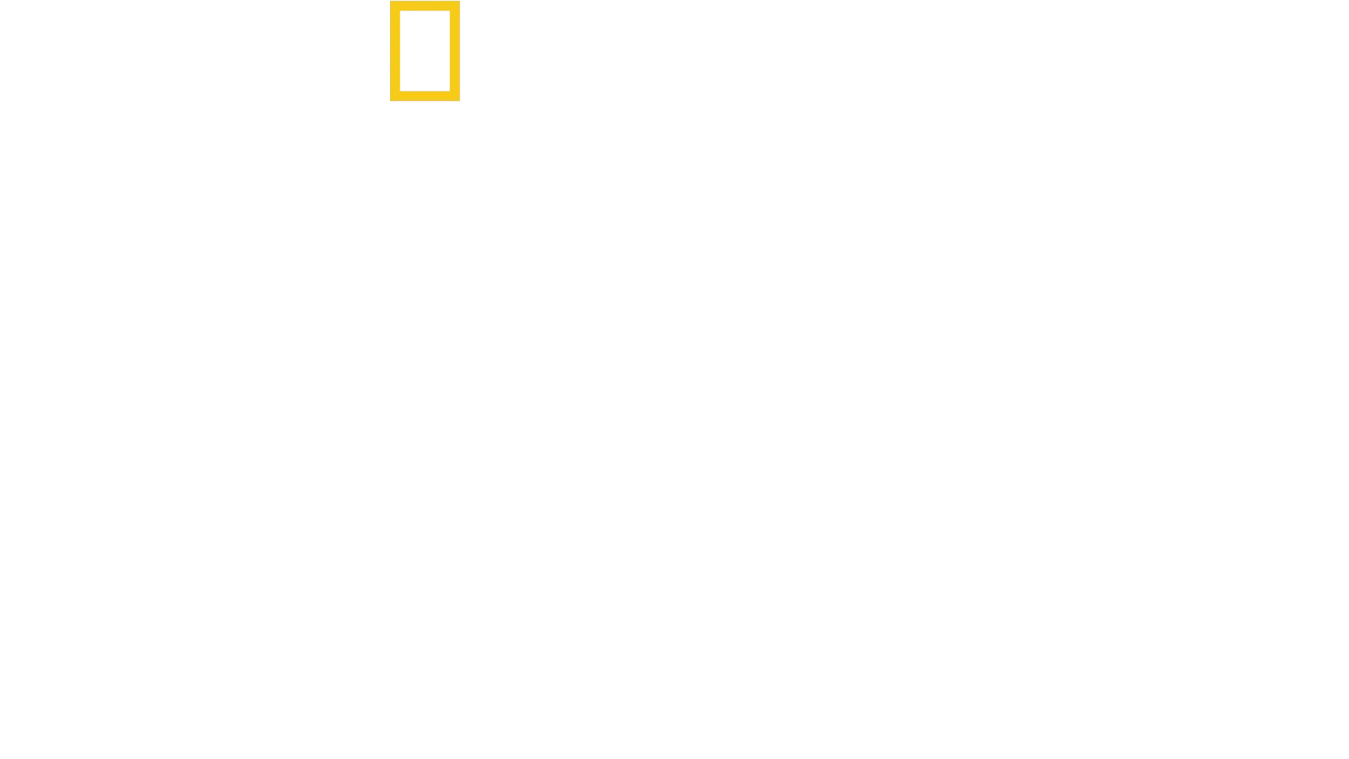 더 테리토리
