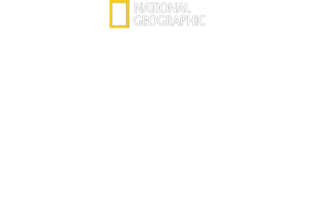 더 테리토리