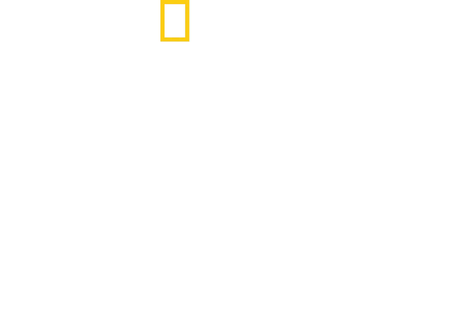 더 테리토리