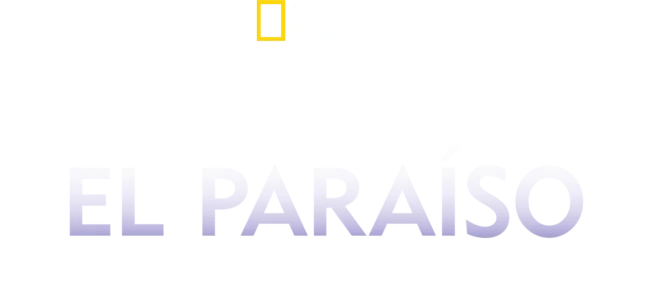 Protegiendo el Paraíso: La Isla de Niue