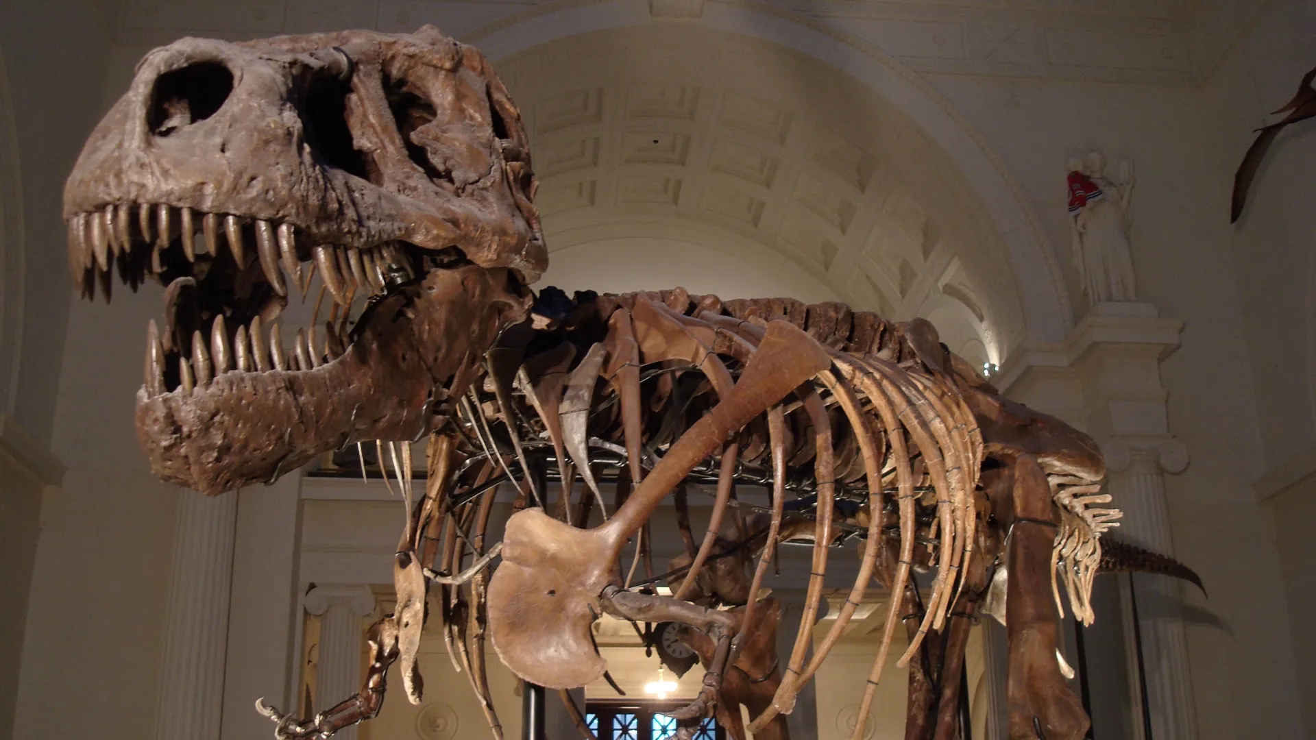 thumbnail - M1:Ep5 A T-Rex Name Sue and More