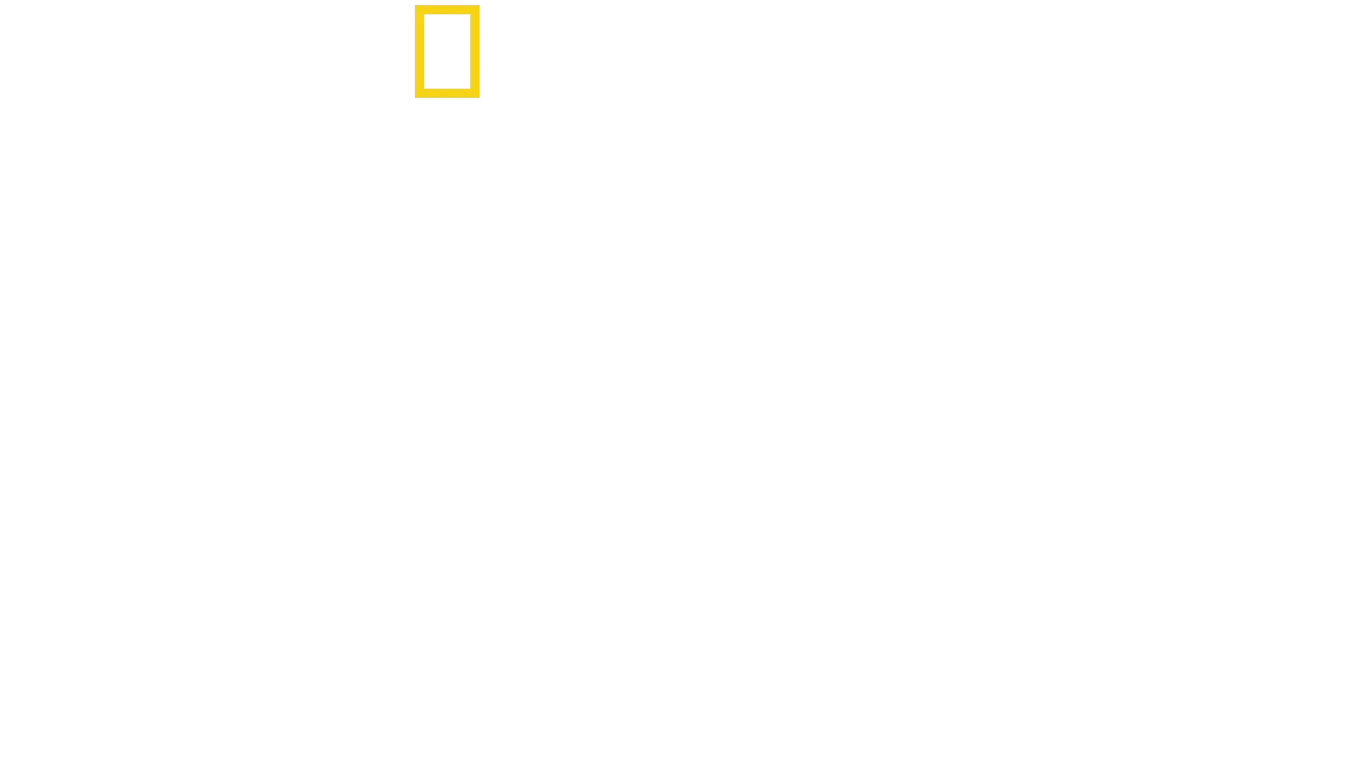 Zo života mláďat