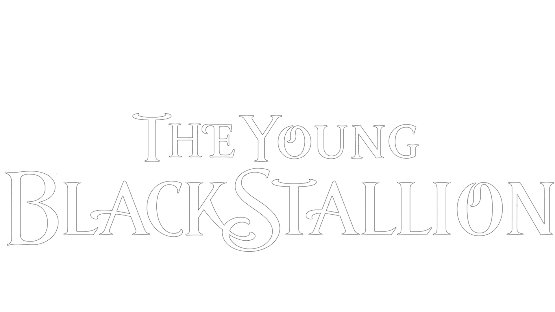 The Young Black Stallion