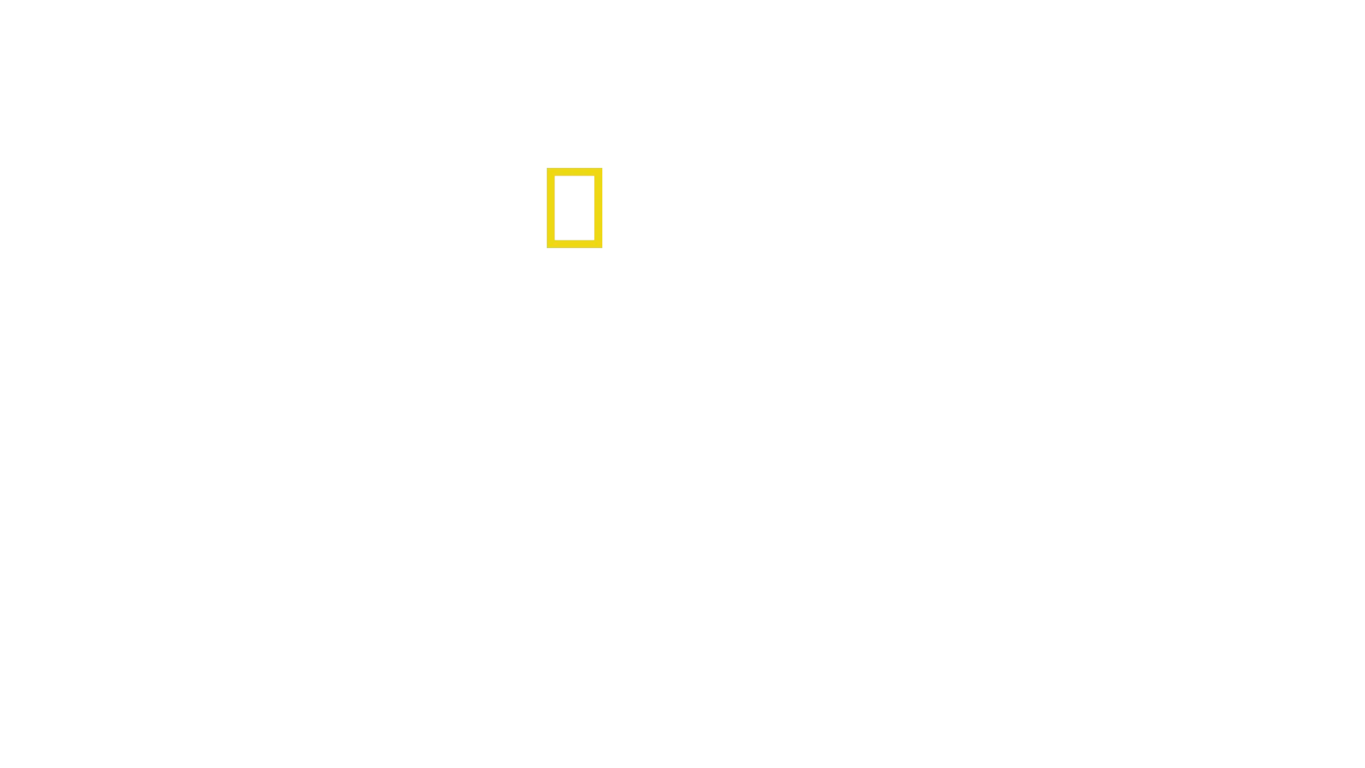 《遇見猩猩》