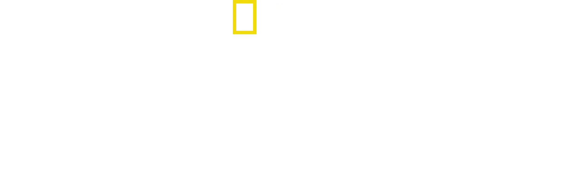 《遇見猩猩》