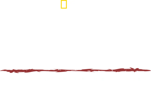 Primal Survivor: Escape the Amazon