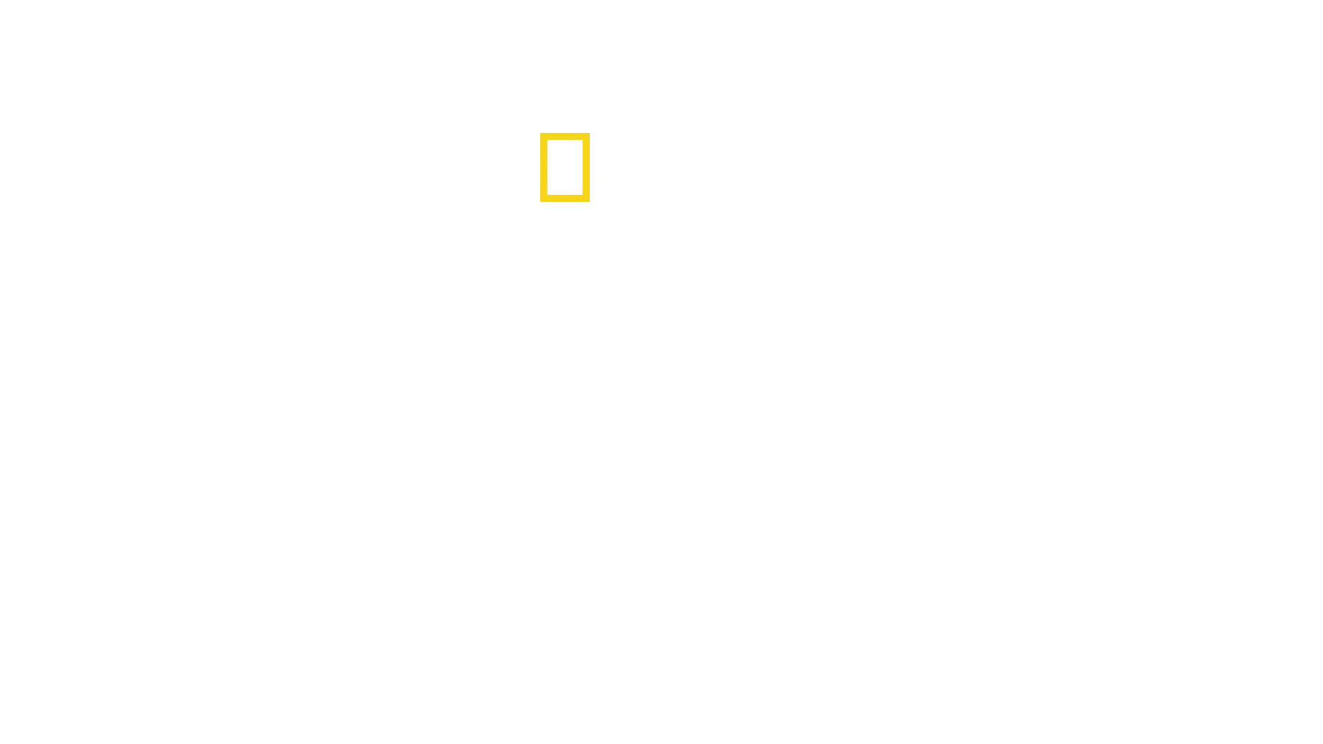 Gangues de Tubarões
