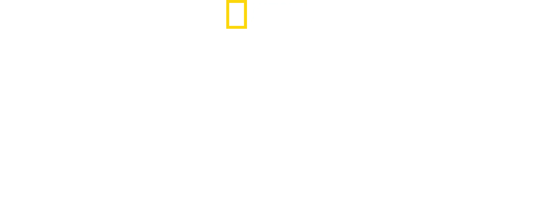 Gangues de Tubarões