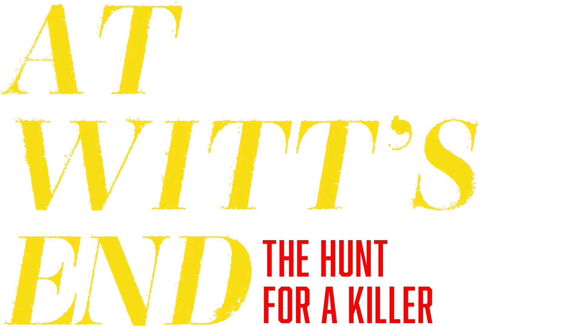 At Witt's End: The Hunt for a Killer