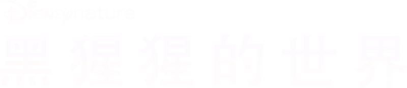 黑猩猩的世界