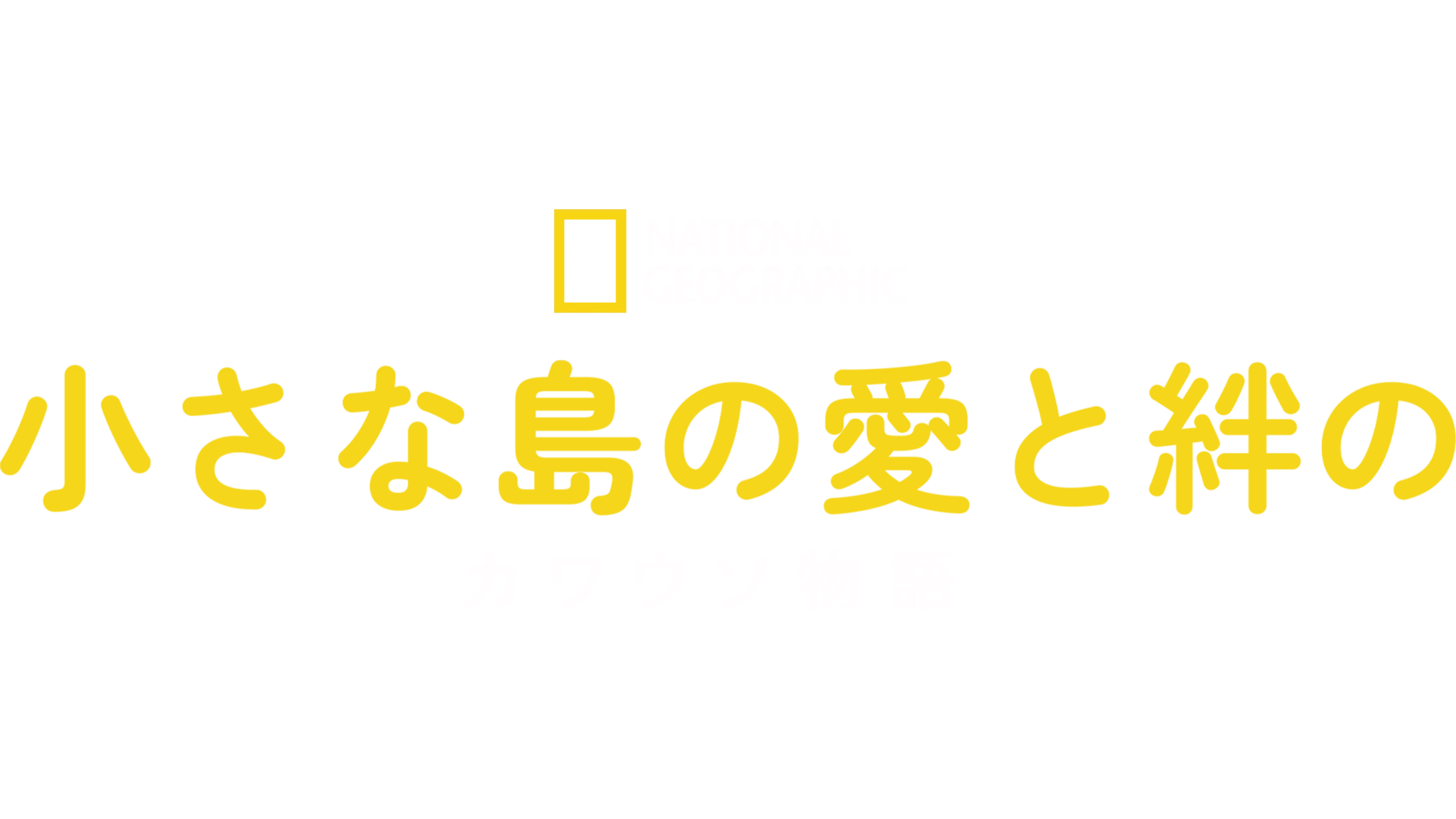 小さな島の愛と絆のカワウソ物語