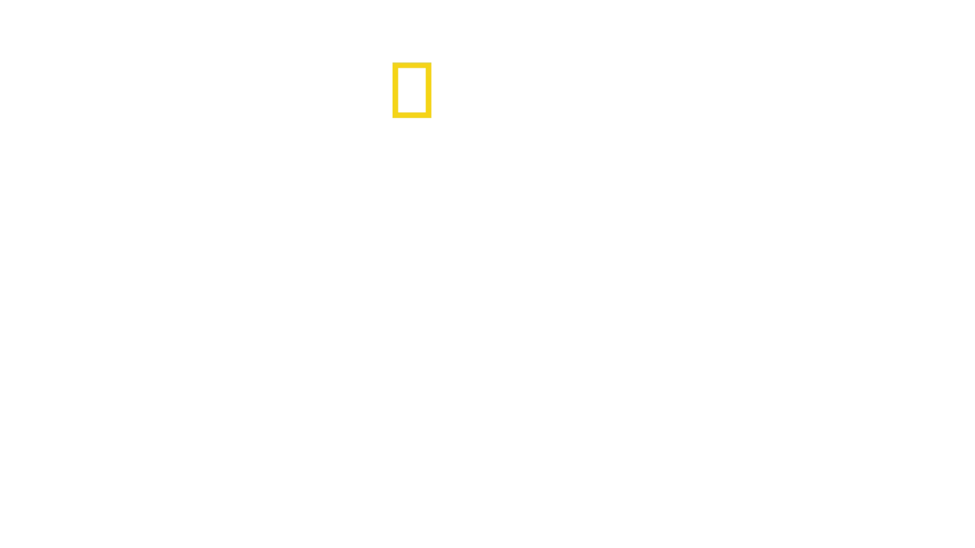 Die Challenger-Katastrophe