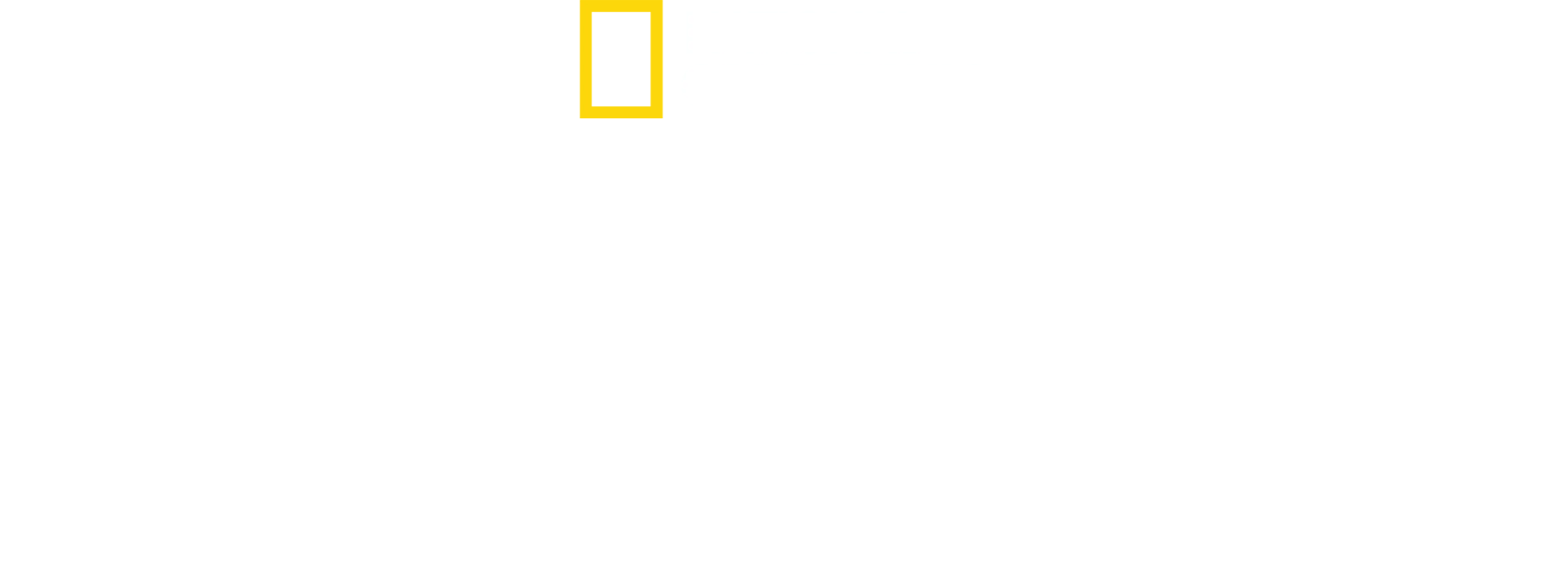 Svědkem katastrofy