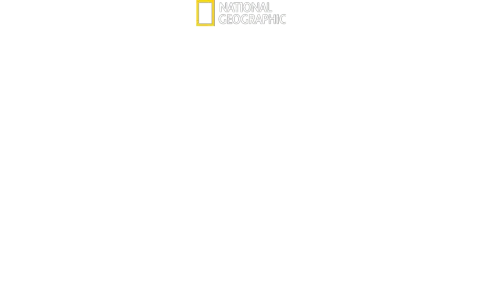 Magic of Disney’s Animal Kingdom　ディズニー・アニマルキングダムの魔法
