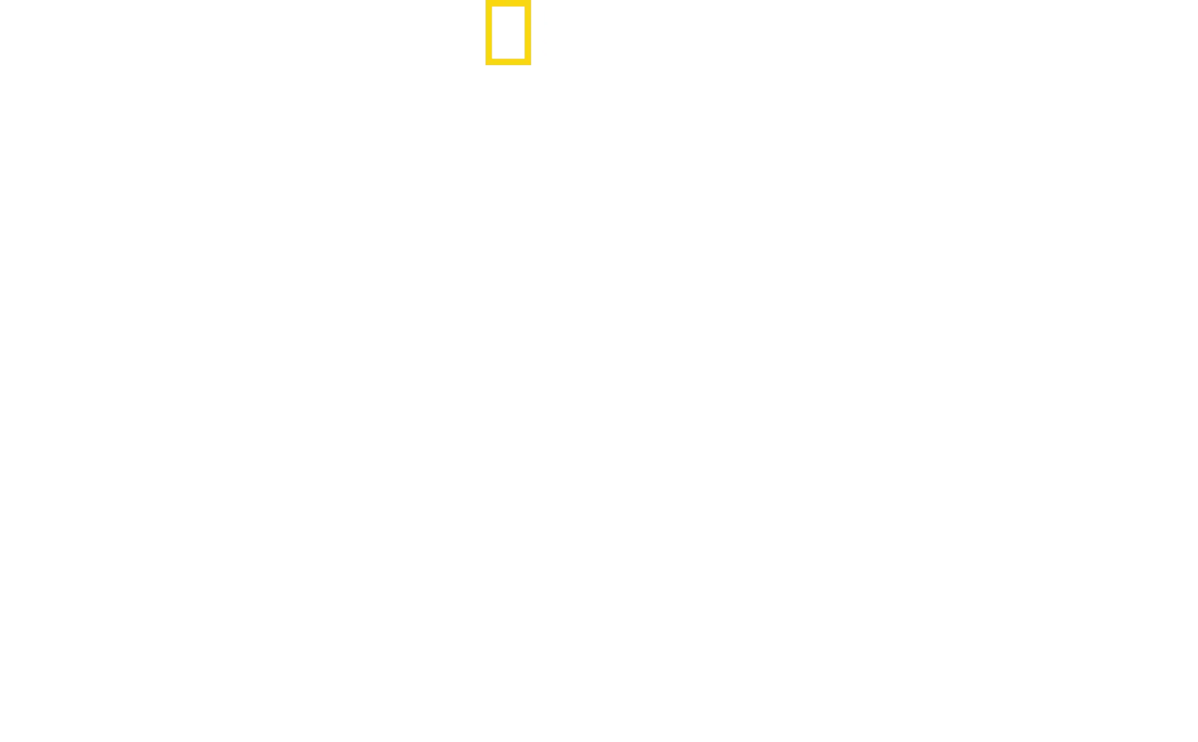Magic of Disney’s Animal Kingdom　ディズニー・アニマルキングダムの魔法