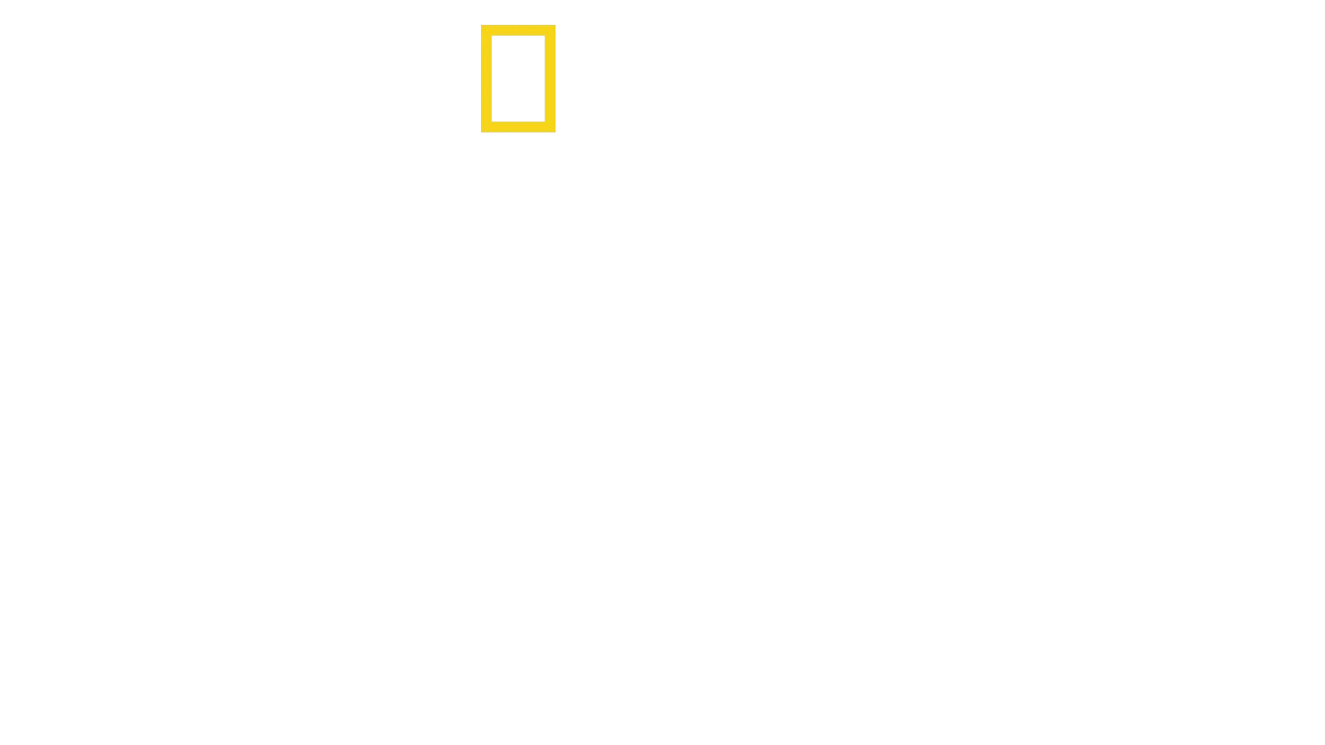 Tajemství slonů
