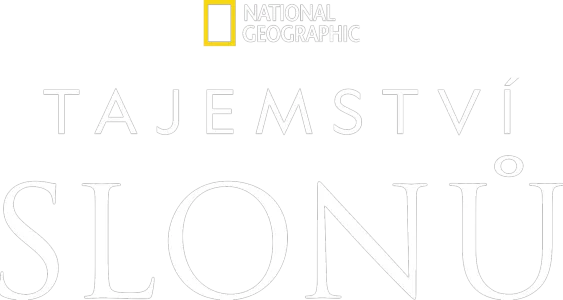 Tajemství slonů