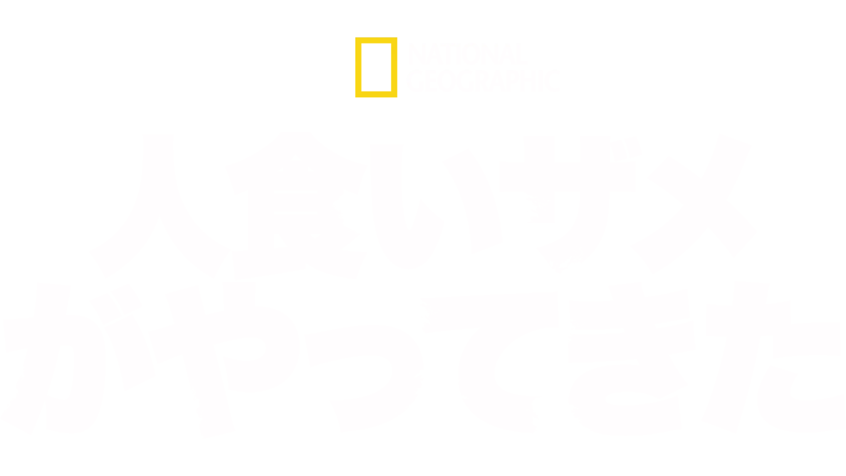 人食いザメがやってきた