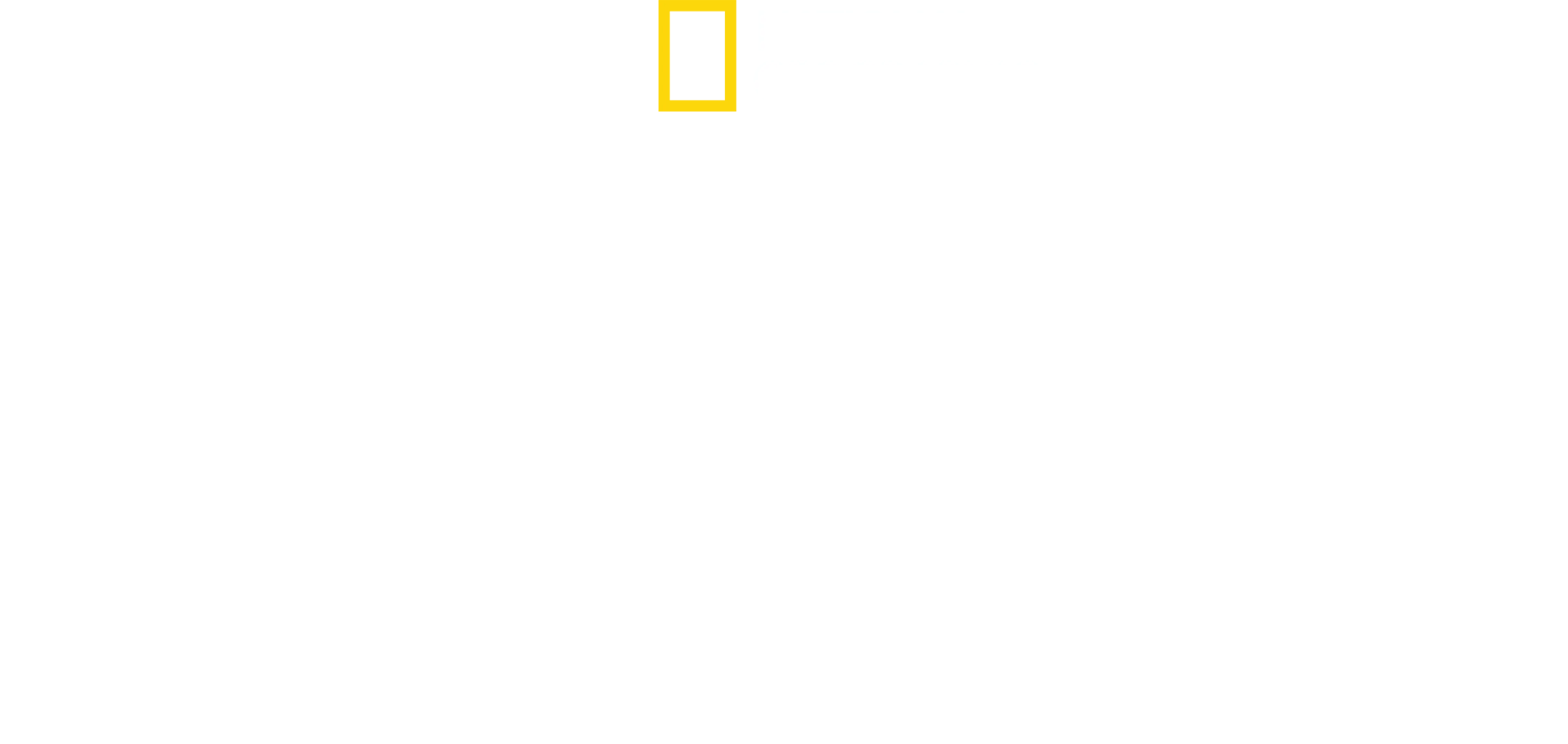 人食いザメがやってきた
