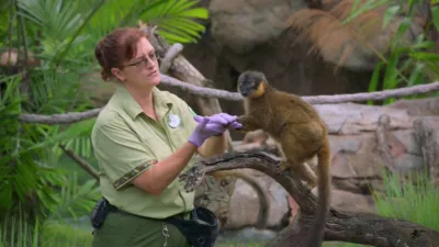thumbnail - S1:E14 Kris Becker: Animal Keeper