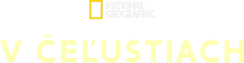 V čeľustiach
