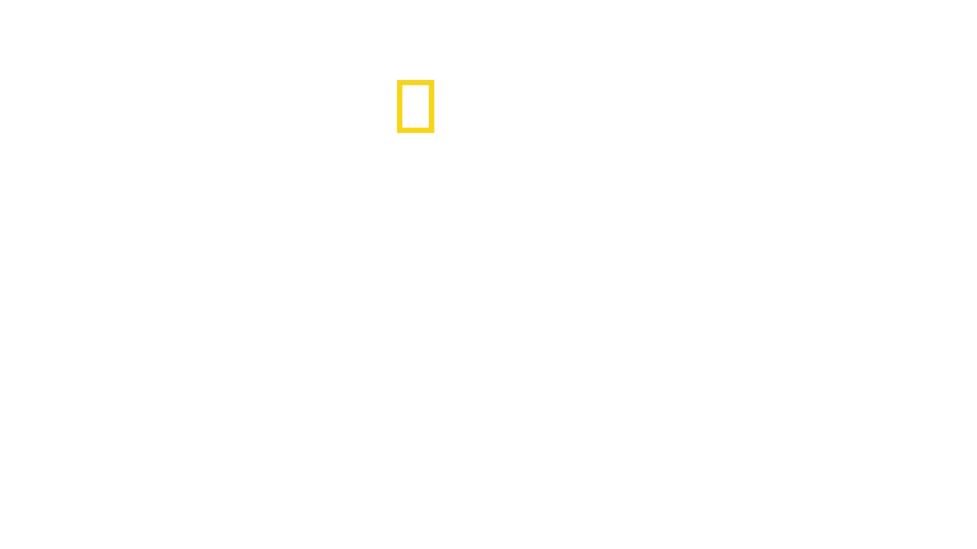 Katie's New Face: A Family's Journey