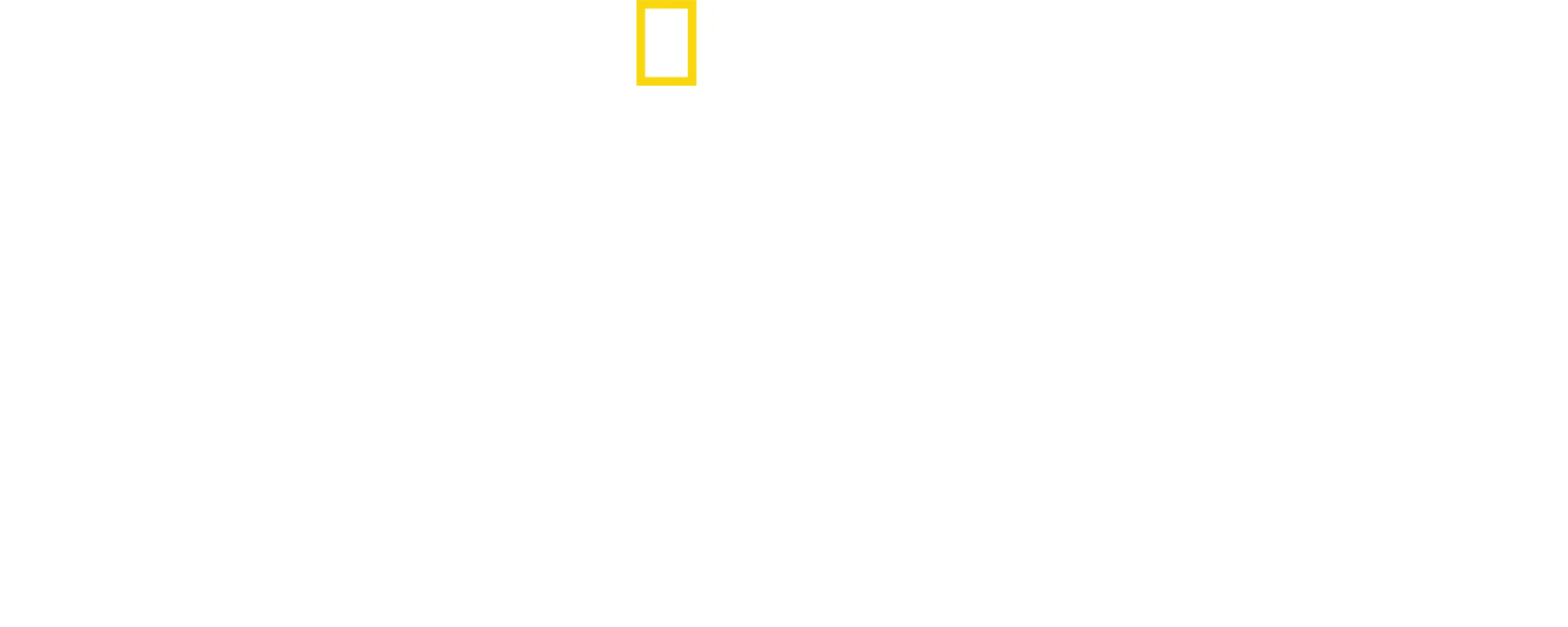 Katie's New Face: A Family's Journey