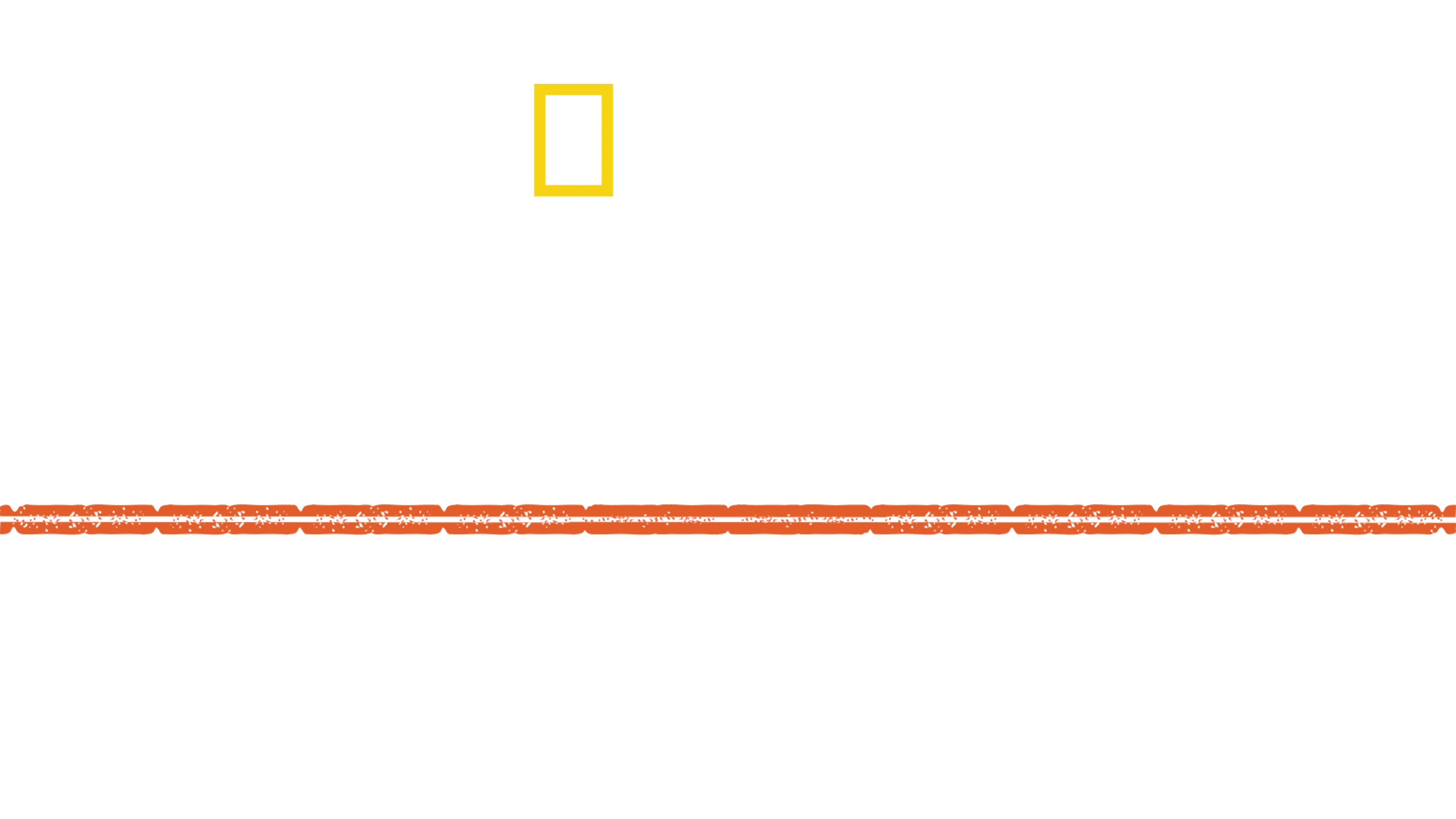 Hitler: attacco all’Unione Sovietica