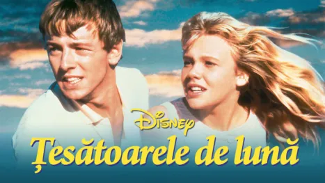 thumbnail - Ţesătoarele de lună