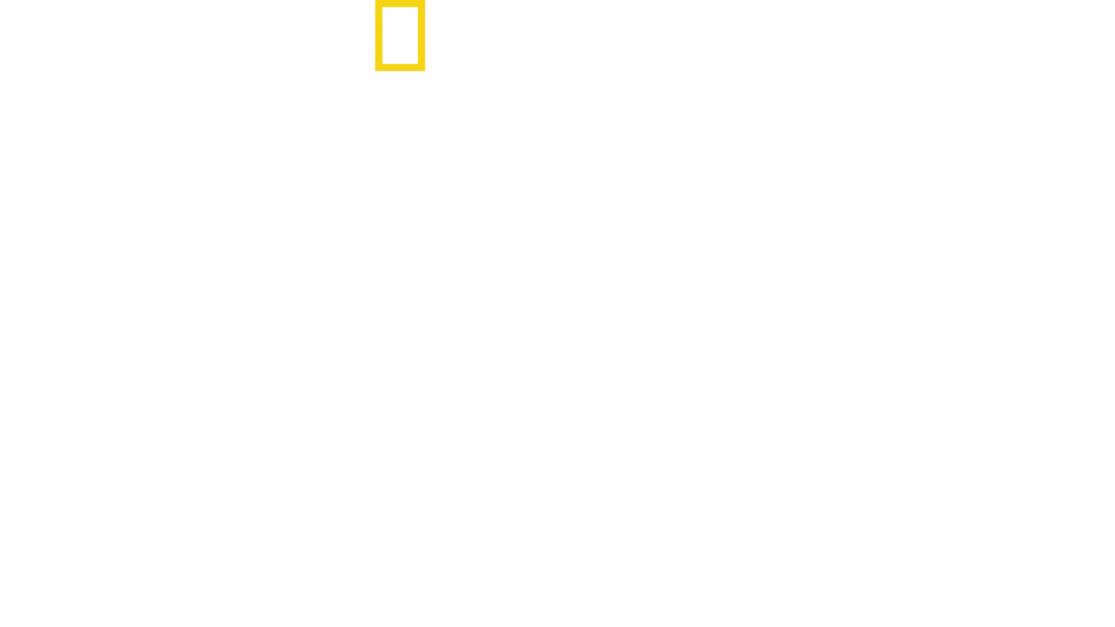 Mandíbulas al acecho